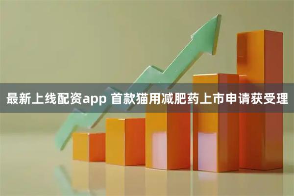 最新上线配资app 首款猫用减肥药上市申请获受理