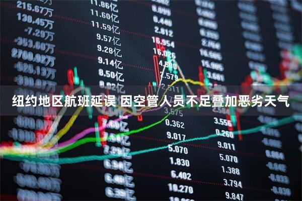 纽约地区航班延误 因空管人员不足叠加恶劣天气
